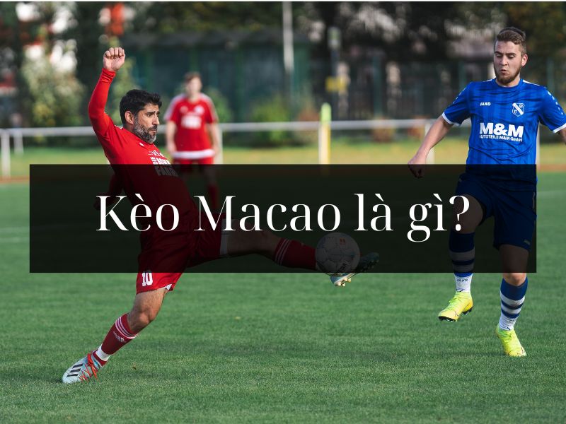 Kèo Macao là gì? Các loại kèo Macao phổ biến